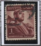 Stamps Egypt -  Agricultor