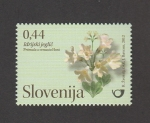 Stamps : Europe : Slovenia :  Flora de los jardines públicos de Eslovenia:Primula venusta