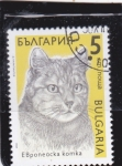 Sellos del Mundo : Europe : Bulgaria : gato