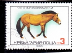 Sellos del Mundo : Europe : Bulgaria : CABALLO