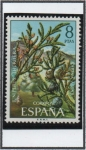 Stamps Spain -  Sabina Ámbar