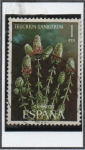 Stamps Spain -  Teucriun Lanigerun