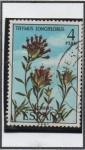 Stamps Spain -  Thymus Longiforus