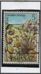 Stamps Spain -  Anthylis Onobrychides