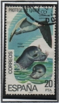 Stamps Spain -  Protecion d' l' Naturaleza: Gaviotas y Focas