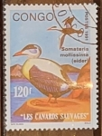 Stamps Democratic Republic of the Congo -  Somateria mollissima