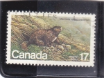 Stamps Canada -  marmota