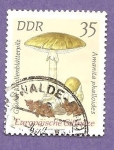 Stamps Germany -  INTERCAMBIO