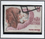 Stamps Spain -  Perros d' Raza Española: Pachón Navarro