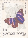 Stamps Hungary -  Mariposa