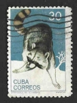 Sellos de America - Cuba -  900 - Mapache