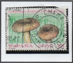 Stamps Spain -  Micología: Carbonera