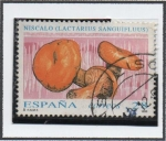 Stamps Spain -  Micología: Lactarius