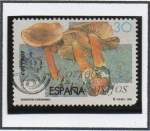 Stamps Spain -  Micología: Cortinario Canelo