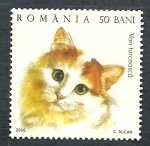 Sellos de Europa - Rumania -  Gato