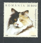 Sellos de Europa - Rumania -  Gato