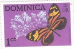 Sellos de America - Dominica -  Mariposa