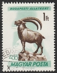 Stamps Hungary -  1418 - Cabra montesa