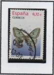 Stamps Spain -  Graellsia