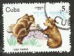 Sellos de America - Cuba -  Oso pardo