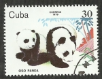 Sellos de America - Cuba -  Oso panda