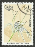 Sellos de America - Cuba -  Pancratium Arenicolum