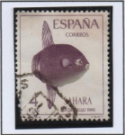 Stamps Spain -  Pez Luna