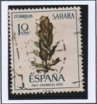 Stamps Spain -  Ficus sp