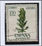 Stamps Spain -  Ficus sp