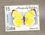 Stamps Cuba -  Mariposas cubanas:Eurema dina