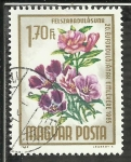 Stamps Hungary -  Felszabadulasunh