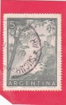 Stamps Argentina -  CATARATAS DE IGUAZU