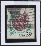 Stamps United States -  Piña