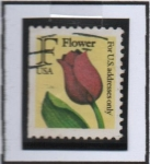 Stamps United States -  Tulipan