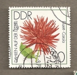 Stamps Germany -  Dalia var. Enzett Carola