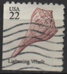 Sellos de America - Estados Unidos -  Lightning Whelk