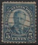 Stamps United States -  Theodoro Roosevelt