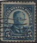 Stamps United States -  Theodoro Roosevelt