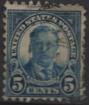 Stamps United States -  Theodoro Roosevelt