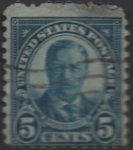 Stamps United States -  Theodoro Roosevelt