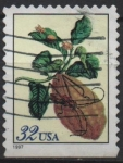 Stamps United States -  Pupa d' Escarabajo