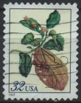 Stamps United States -  Pupa d' Escarabajo