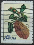 Stamps United States -  Pupa d' Escarabajo