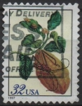 Stamps United States -  Pupa d' Escarabajo