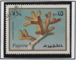 Stamps United Arab Emirates -  Acropora Rrolifera