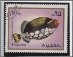 Stamps United Arab Emirates -  Balistoides Conspicillum