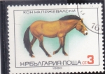 Stamps Bulgaria -  CABALLO