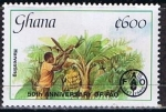 Stamps Ghana -  FAO, Cosecha