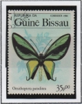 Sellos de Africa - Guinea Bissau -  Mariposas, Paradisea Ornithoptera