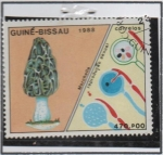 Stamps Guinea Bissau -  Hogos, Morchella